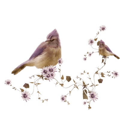 Kaz_Creations Birds Bird - zadarmo png