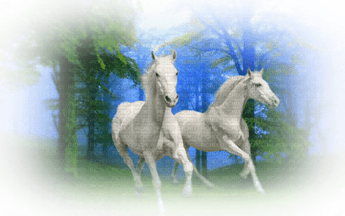 loly33 cheval - δωρεάν png