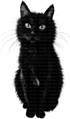 Kaz_Creations Halloween Deco Logo Cat - ücretsiz png