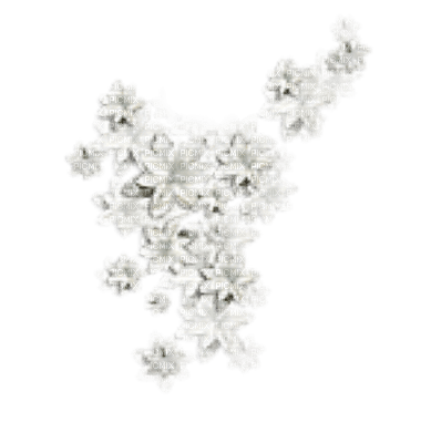 white deco by nataliplus - zadarmo png
