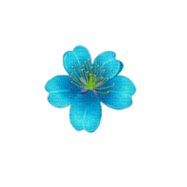 голубой цветочек - GIF animé gratuit