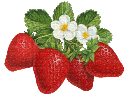 Erdbeeren - Ingyenes animált GIF
