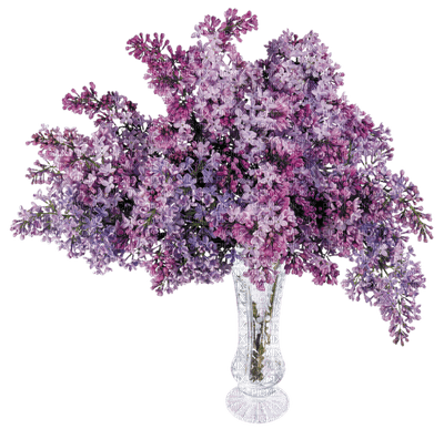 Kaz_Creations Flowers Deco Flower Colours Vase - ingyenes png