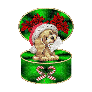 deco perro navidad gira gif dubravka4 - GIF animado grátis