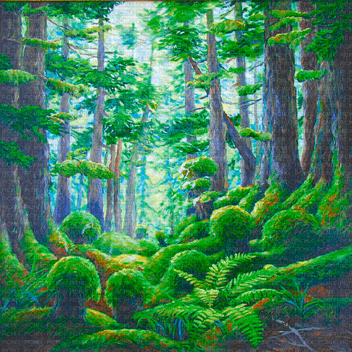 Y.A.M._Landscape forest background - zdarma png