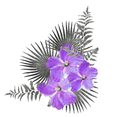 soave deco flowers summer branch animated tropical - Kostenlose animierte GIFs