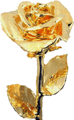 gold rose - png gratuito