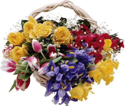 patymirabelle fleurs panier - png gratuito