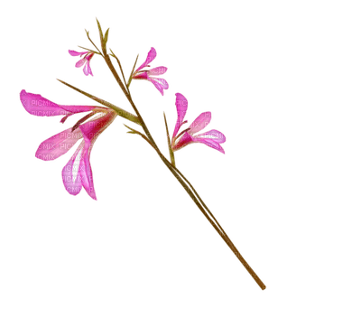 Kaz_Creations Pink Deco Flowers Colours - PNG gratuit