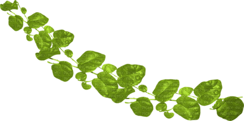 rama hojas verdes  dubravka4 - фрее пнг