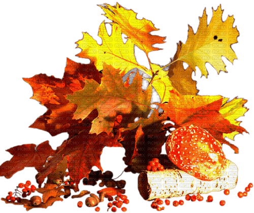 leaves fall autumn feuille leaf - PNG gratuit