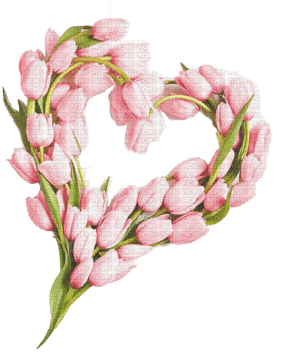 Tulipes.Tulip.Pink.Coeur.heart.Victoriabea - 免费PNG