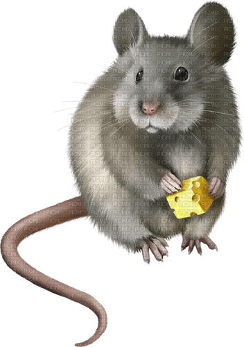 Kaz_Creations Rat-Mouse - безплатен png