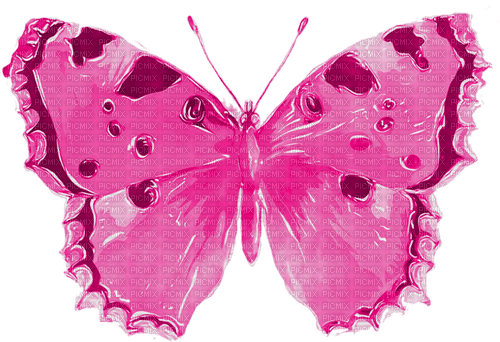 dolceluna pink butterfly summer deco purple - PNG gratuit