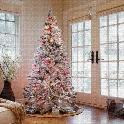 christmas  tree - zadarmo png