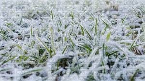 Winter, Snow, Grass - Jitter.Bug.Girl - besplatni png