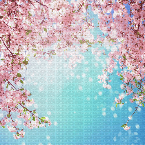 Y.A.M._Spring background - png ฟรี