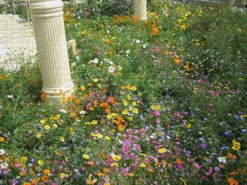 ruins flower background - png grátis