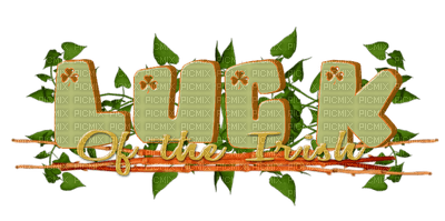 Kaz_Creations Deco St.Patricks Day Text Luck Of The Irish - zadarmo png