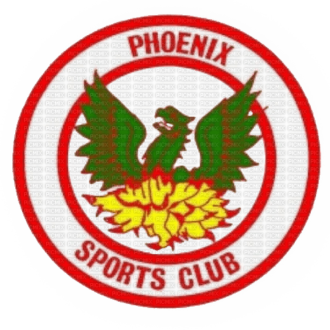 GIANNIS TOUROUNTZAN - phoenix sports - PNG gratuit
