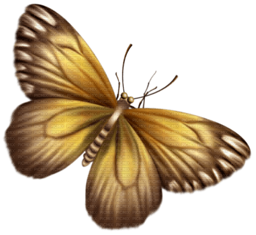 autumn butterfly by nataliplus - gratis png