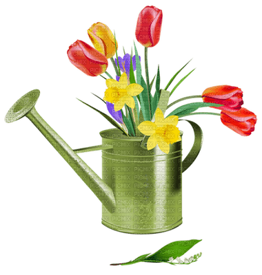 Kaz_Creations Flowers Flower Watering Can Garden - png gratis