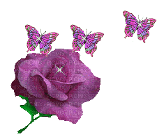 Rosa con mariposas - Бесплатни анимирани ГИФ
