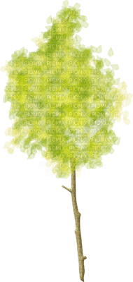 Kaz_Creations Trees Tree Colours - png gratis