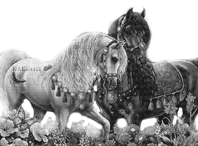 Y.A.M._Fantasy animals horses black-white - ilmainen png