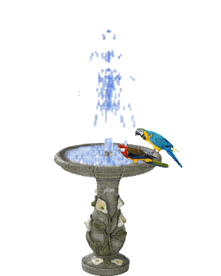 fontana uccellini - Ingyenes animált GIF