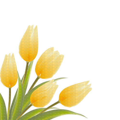 yellow tulips Bb2 - besplatni png