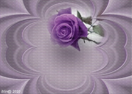 bg--background--lila--purple--flower--blomma - PNG gratuit
