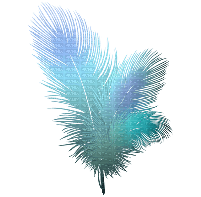 feather - png gratuito