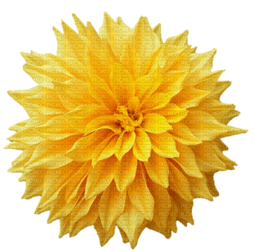 autumn flower by nataliplus - PNG gratuit