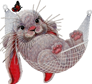 bunny bp - Ingyenes animált GIF