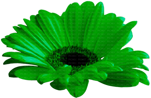 Flower.Green - фрее пнг