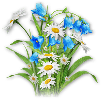soave deco flowers garden spring branch - zadarmo png