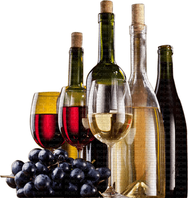 Wine drinks bp - zdarma png