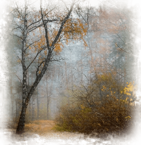 Autumn.Paysage.Landscape.Fond.Victoriabea - kostenlos png