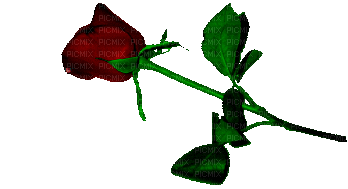rose anastasia - Darmowy animowany GIF