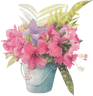 Kaz_Creations Deco Flowers Colours Plant - gratis png
