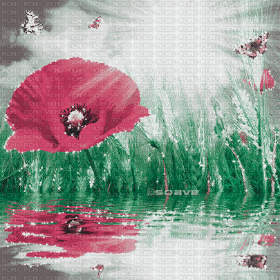 soave background animated flowers poppy water - Gratis animeret GIF