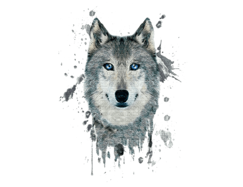 Wolf - kostenlos png