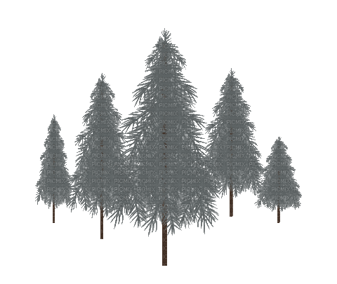 Winter.Pine trees.gif.Victoriabea - Animovaný GIF zadarmo