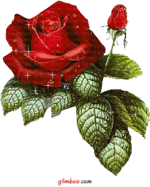 роза с блёстками - Nemokamas animacinis gif
