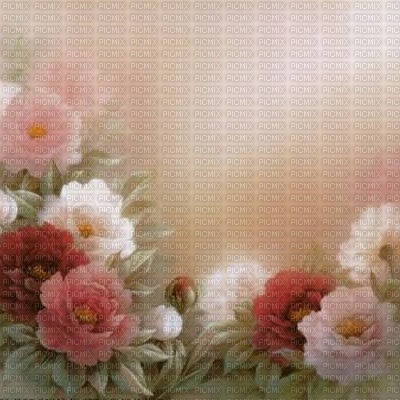 bg-pink-flowers - png ฟรี