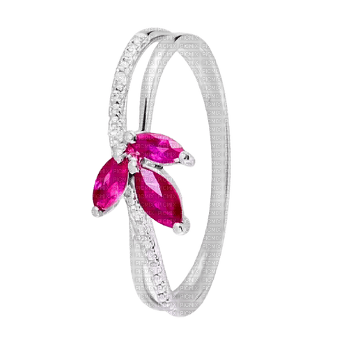 Fuchsia Ring - By StormGalaxy05 - 無料png