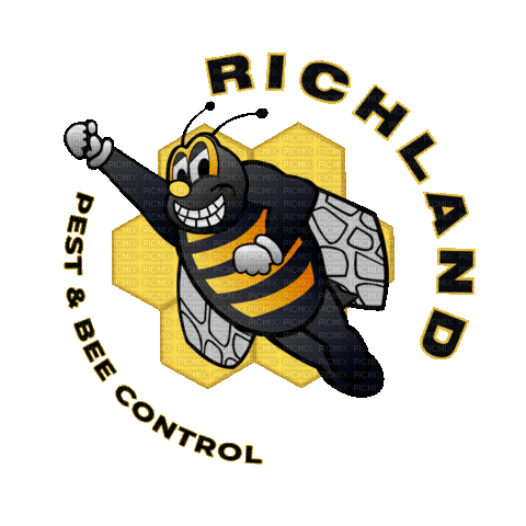 Yellow Jackets Bees - Gratis geanimeerde GIF