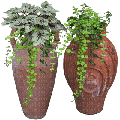 vase with plant - zdarma png