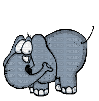 elephant elefant  fun cartoon animal animals  tube gif anime animated animation - Gratis animerad GIF